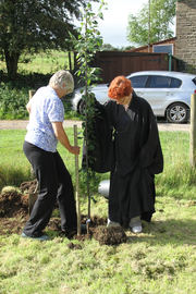 Two people tree-planting