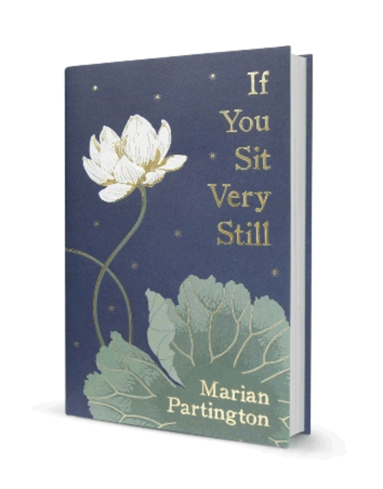 Book cover, "If You Sit Very Still"