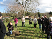 Photo of Tree-planting