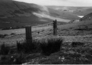 A gate across the track, but no fence at the side of the gate