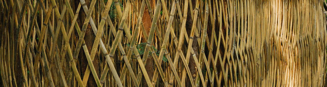 bamboo fence