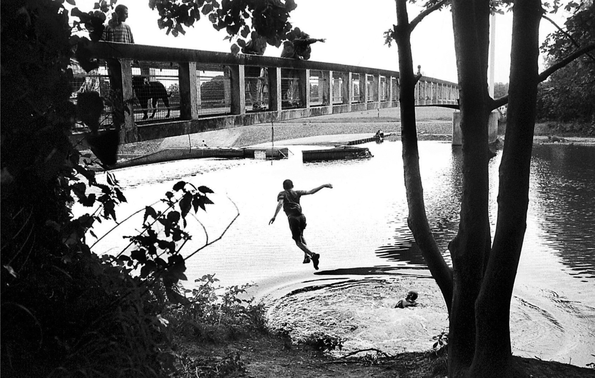 Man jumped from a bridge to swim in the river