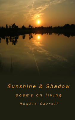 cover illustration for Sunshine and Shadow