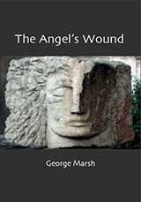 Cover image of The Angel's Wound